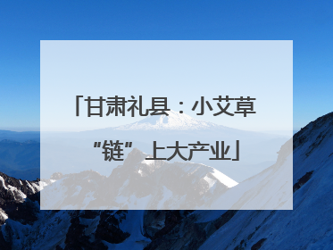 甘肃礼县：小艾草“链”上大产业