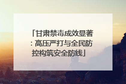 甘肃禁毒成效显著：高压严打与全民防控构筑安全防线