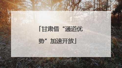 甘肃借“通道优势”加速开放