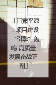 甘肃平凉：项目建设“引擎”轰鸣 高质量发展奋战正酣