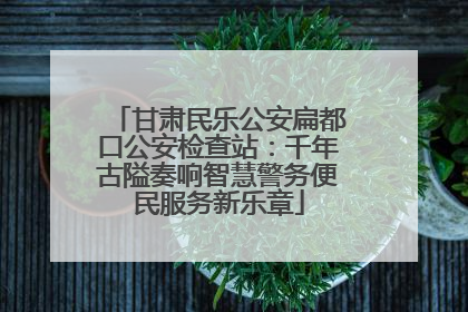 甘肃民乐公安扁都口公安检查站：千年古隘奏响智慧警务便民服务新乐章