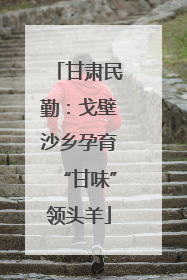 甘肃民勤：戈壁沙乡孕育“甘味”领头羊