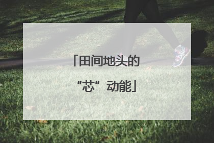 田间地头的“芯”动能