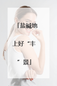 盐碱地上好“丰”景
