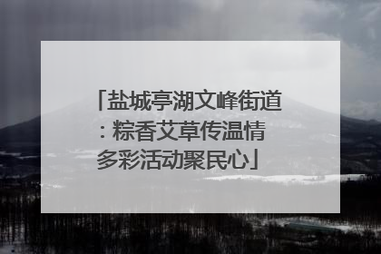 盐城亭湖文峰街道：粽香艾草传温情 多彩活动聚民心
