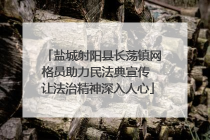 盐城射阳县长荡镇网格员助力民法典宣传 让法治精神深入人心