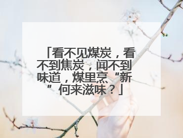 看不见煤炭，看不到焦炭，闻不到味道，煤里烹“新”何来滋味？