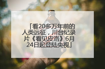看20多万年前的人类远征，川台纪录片《看见皮洛》6月24日起登陆央视