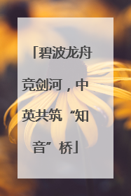 碧波龙舟竞剑河，中英共筑“知音”桥