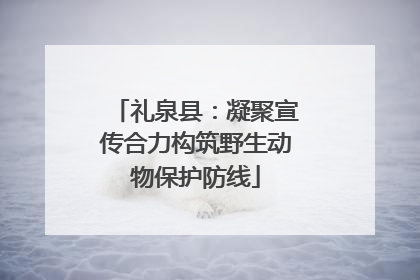 礼泉县：凝聚宣传合力构筑野生动物保护防线