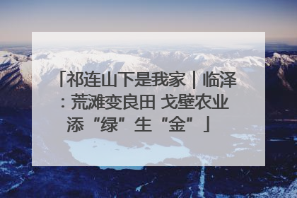 祁连山下是我家｜临泽：荒滩变良田 戈壁农业添“绿”生“金”