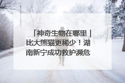 神奇生物在哪里｜比大熊猫更稀少！湖南新宁成功救护濒危鸟类海南鳽