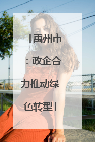 禹州市：政企合力推动绿色转型