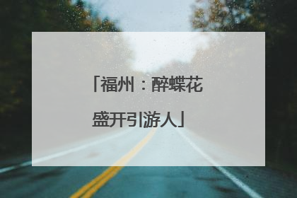 福州：醉蝶花盛开引游人