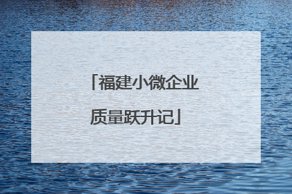 福建小微企业质量跃升记