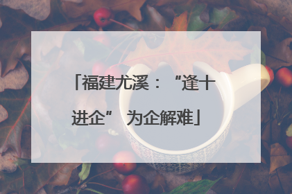 福建尤溪：“逢十进企” 为企解难