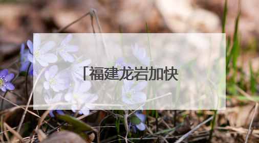 福建龙岩加快闽西革命老区高质量发展