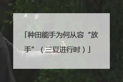 种田能手为何从容“放手”（三夏进行时）