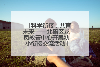 科学衔接，共育未来——北碚区龙凤教管中心开展幼小衔接交流活动
