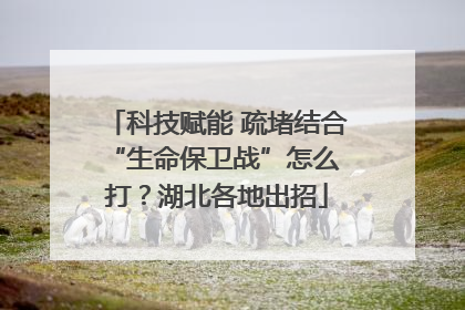科技赋能 疏堵结合 “生命保卫战”怎么打？湖北各地出招