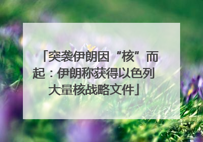 突袭伊朗因“核”而起：伊朗称获得以色列大量核战略文件