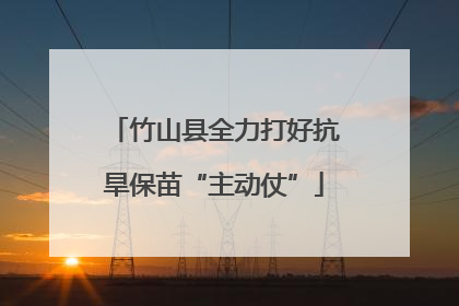 竹山县全力打好抗旱保苗“主动仗”