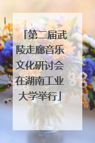 第二届武陵走廊音乐文化研讨会在湖南工业大学举行