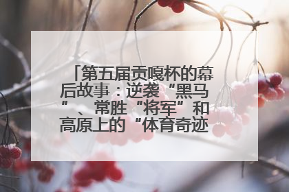 第五届贡嘎杯的幕后故事：逆袭“黑马”、常胜“将军”和高原上的“体育奇迹”丨微纪录