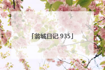 翁城日记 935
