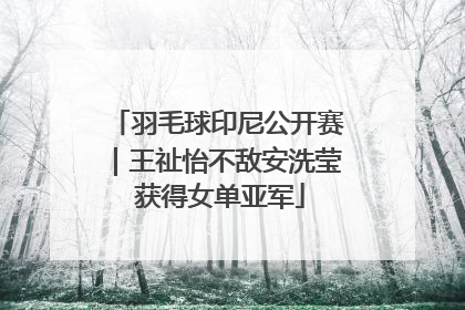 羽毛球印尼公开赛｜王祉怡不敌安洗莹 获得女单亚军