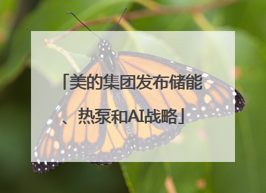 美的集团发布储能、热泵和AI战略