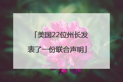 美国22位州长发表了一份联合声明