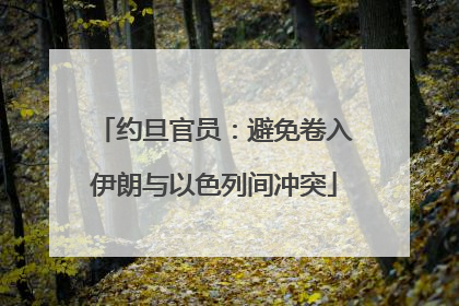 约旦官员：避免卷入伊朗与以色列间冲突