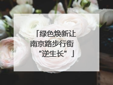 绿色焕新让南京路步行街“逆生长”