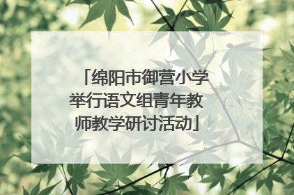 绵阳市御营小学举行语文组青年教师教学研讨活动