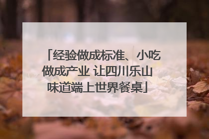 经验做成标准、小吃做成产业 让四川乐山味道端上世界餐桌