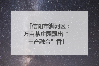 信阳市浉河区：万亩茶庄园飘出“三产融合”香
