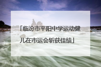 临汾市平阳中学运动健儿在市运会斩获佳绩