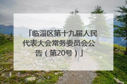 临淄区第十九届人民代表大会常务委员会公告（第20号）
