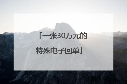 一张30万元的特殊电子回单