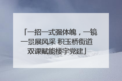 一招一式强体魄，一镜一景展风采 积玉桥街道双课赋能楼宇党建