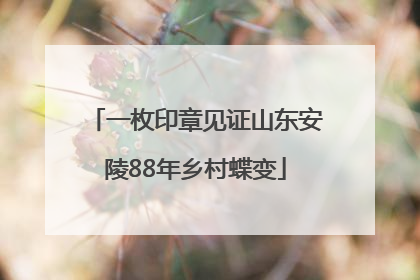 一枚印章见证山东安陵88年乡村蝶变