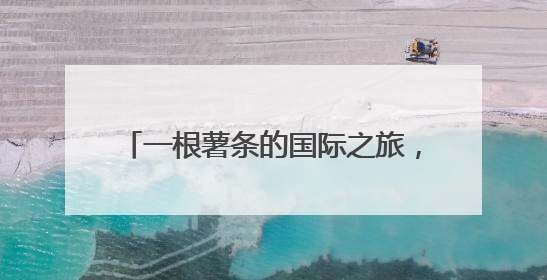 一根薯条的国际之旅，从内蒙古到斯里兰卡