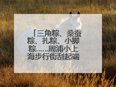 三角粽、桑蚕粽、扎粽、小脚粽……周浦小上海步行街刮起端午浓浓民俗风