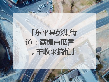 东平县彭集街道：满棚南瓜香，丰收采摘忙