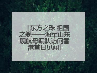 东方之珠 祖国之舰——海军山东舰航母编队访问香港首日见闻