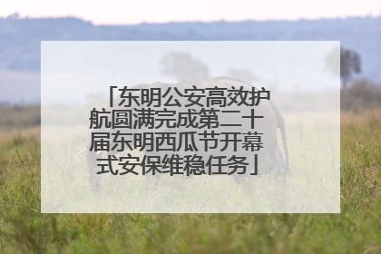东明公安高效护航圆满完成第二十届东明西瓜节开幕式安保维稳任务