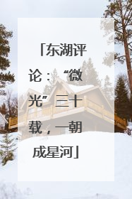 东湖评论：“微光”三十载，一朝成星河