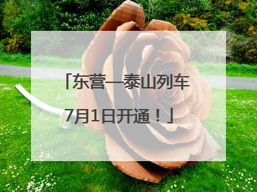 东营—泰山列车7月1日开通！