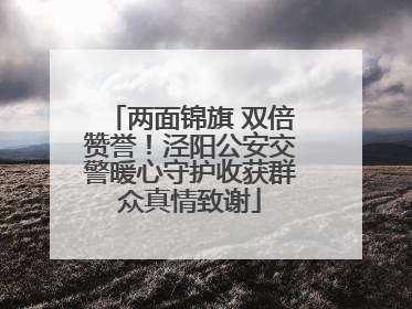 两面锦旗 双倍赞誉！泾阳公安交警暖心守护收获群众真情致谢